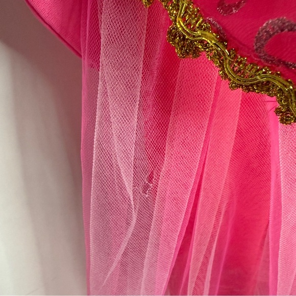 Pink and Gold Aurora Inspired Costume - Picture 7 of 13